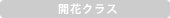 開花クラス